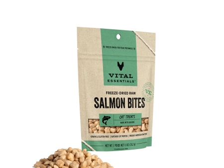 Vital Essentials Freeze Dried Cat Treats Salmon 1.1oz Online Hot Sale