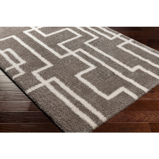 Surya Cloudy Shag CDG-2315 Gray Modern Machine Woven Rug Fashion