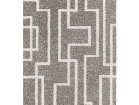 Surya Cloudy Shag CDG-2315 Gray Modern Machine Woven Rug Fashion