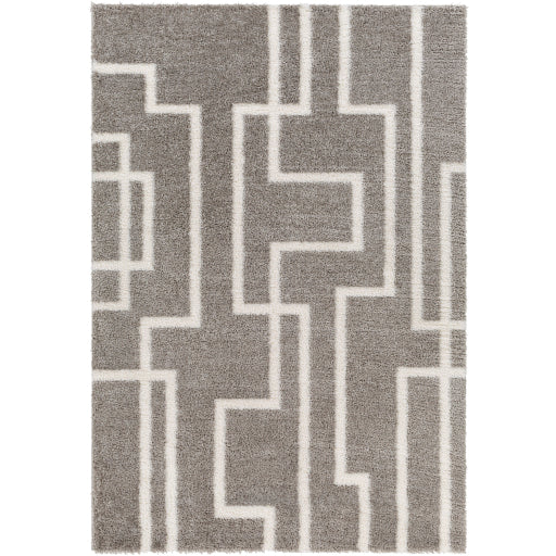 Surya Cloudy Shag CDG-2315 Gray Modern Machine Woven Rug Fashion