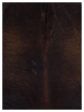 Artisan Claire  Espresso Espresso Hair on Hide Cowhide Shape Rug on Sale