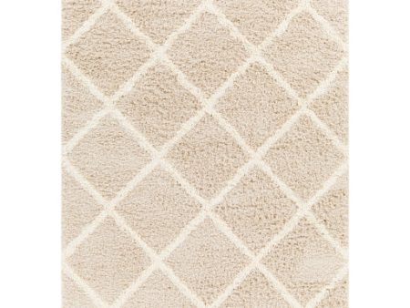 Surya Urban Shag USG-2319 Beige Cottage Machine Woven Rug For Cheap