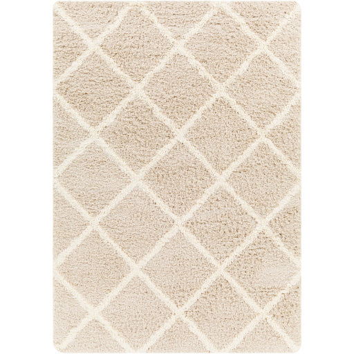 Surya Urban Shag USG-2319 Beige Cottage Machine Woven Rug For Cheap