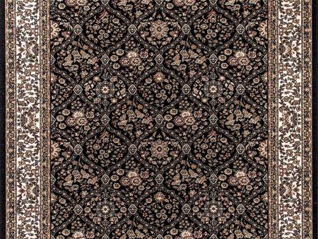 Dynamic Rugs Brilliant 7211 Black  Traditional Machine-Made Rug Online now