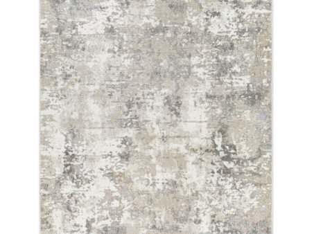 Surya Soldado SOD-2310 Medium Gray Modern Machine Woven Rug For Sale