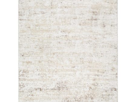 Surya Andorra Plus ARP-2305  Cottage Machine Woven Rug Fashion