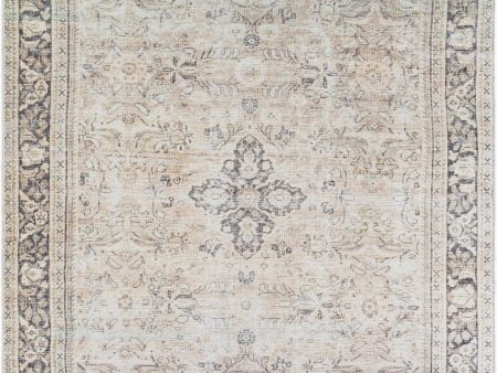 Becki Owens Darling BODA-2304  Traditional Machine Woven Rug Online now