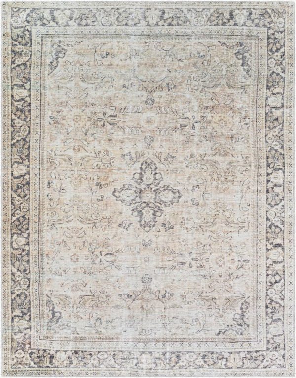 Becki Owens Darling BODA-2304  Traditional Machine Woven Rug Online now