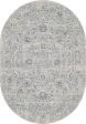 Dynamic Rugs Ancient Garden 57126 Silver Grey  Traditional Machine-Made Rug Fashion