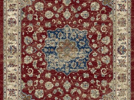 Dynamic Rugs Ancient Garden 57559 Red Ivory  Traditional Machine-Made Rug Cheap