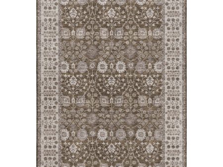 Dalyn Rugs Hatay HY8 Chocolate Traditional Machine Made Rug For Discount