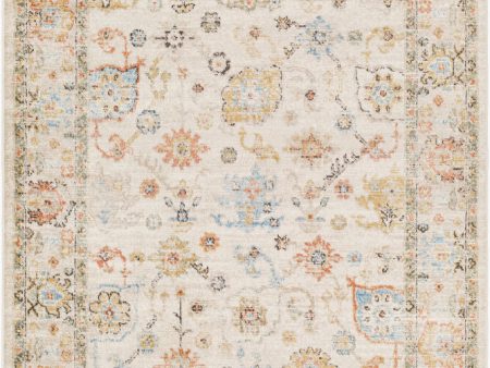 Surya Pertek PTK-2300 Taupe Traditional Machine Woven Rug on Sale