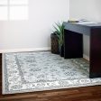 Dynamic Rugs Ancient Garden 57365 Soft Grey Cream  Traditional Machine-Made Rug For Cheap