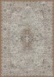 Dynamic Rugs Ancient Garden 57275 Beige Multi  Traditional Machine-Made Rug Sale