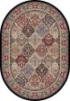 Dynamic Rugs Ancient Garden 57008 Multi  Traditional Machine-Made Rug Cheap