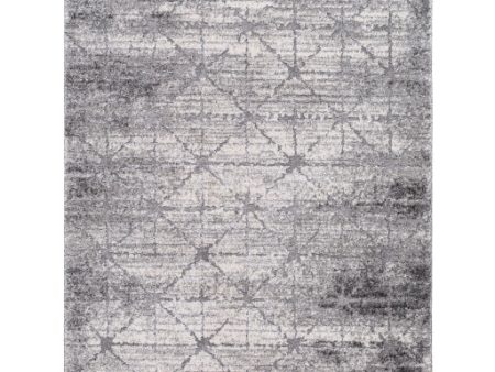 Surya Andorra Plus ARP-2307  Cottage Machine Woven Rug Online Sale