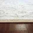 Dynamic Rugs Ancient Garden 57126 Cream  Traditional Machine-Made Rug Hot on Sale