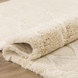 Dalyn Rugs Marquee MQ1 Ivory Transitional Shag Rug on Sale