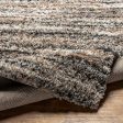 Surya Capella Shag CPS-2307 Light Brown Modern Machine Woven Rug For Discount