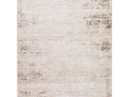 Surya Andorra Plus ARP-2306  Cottage Machine Woven Rug Online Sale