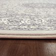 Dynamic Rugs Ancient Garden 57119 Soft Grey Cream  Traditional Machine-Made Rug Fashion