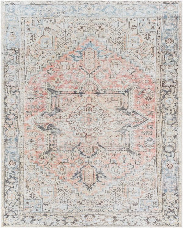 Becki Owens Darling BODA-2303  Traditional Machine Woven Rug For Discount