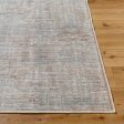 Becki Owens Darling BODA-2302  Traditional Machine Woven Rug For Cheap