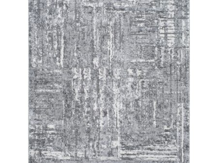 Surya Andorra Plus ARP-2304  Cottage Machine Woven Rug Online