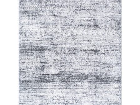 Surya Andorra Plus ARP-2311  Cottage Machine Woven Rug Online now