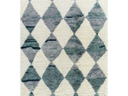 Surya Beni Moroccan BMC-2308  Global Hand Tufted Rug For Discount