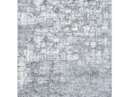 Surya Andorra Plus ARP-2308  Cottage Machine Woven Rug Online