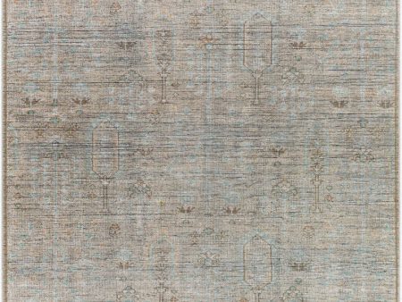 Becki Owens Darling BODA-2302  Traditional Machine Woven Rug For Cheap