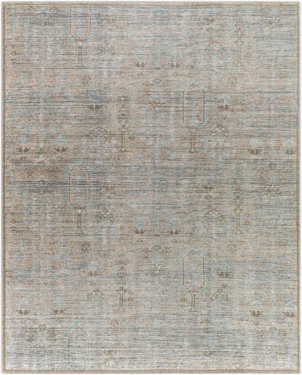 Becki Owens Darling BODA-2302  Traditional Machine Woven Rug For Cheap