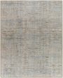 Becki Owens Darling BODA-2302  Traditional Machine Woven Rug For Cheap