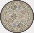 Dynamic Rugs Ancient Garden 57008 Brown Blue  Traditional Machine-Made Rug For Cheap