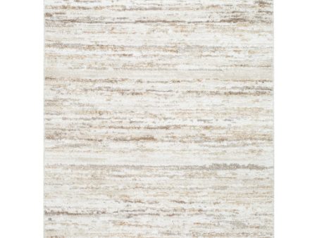 Surya Andorra Plus ARP-2301  Cottage Machine Woven Rug Online Sale