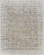 Becki Owens Darling BODA-2301  Traditional Machine Woven Rug Online Hot Sale