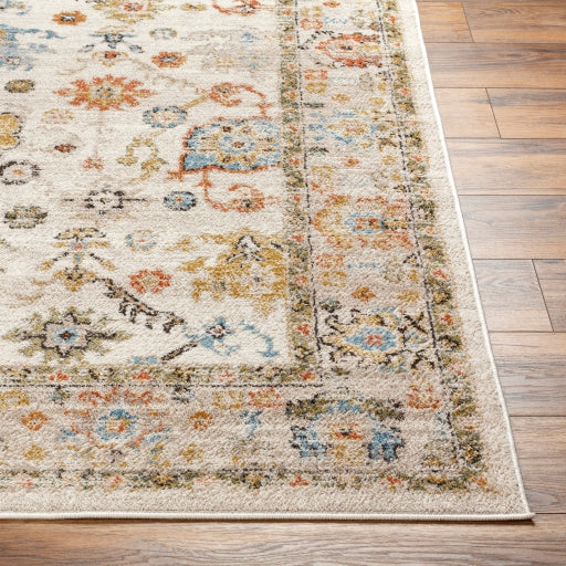 Surya Pertek PTK-2300 Taupe Traditional Machine Woven Rug on Sale