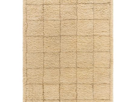 Surya Beni Moroccan BMC-2305  Global Hand Tufted Rug Cheap