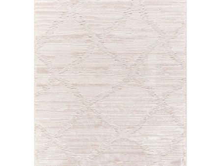 Surya Wolly WOY-2308 Ivory Modern Machine Woven Rug For Sale