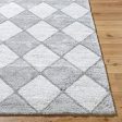 Surya Delight Shag DEL-2307  Global MachineWoven Rug For Discount