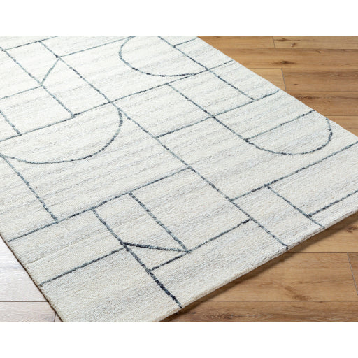 Surya Jules JLS-2309  Modern Hand Tufted Rug Online Sale