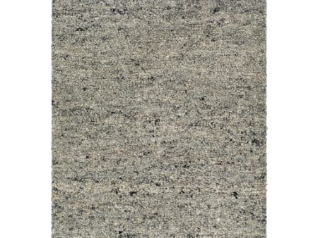 Surya Desire DSE-2304  Traditional Hand Tufted Rug For Discount