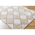 Surya Delight Shag DEL-2306  Global MachineWoven Rug Online Hot Sale