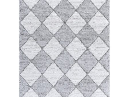 Surya Delight Shag DEL-2307  Global MachineWoven Rug For Discount