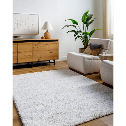 Surya Sacramento Shag SCS-2301 White Modern Machine Woven Rug For Sale