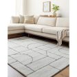 Surya Jules JLS-2309  Modern Hand Tufted Rug Online Sale