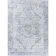 Surya Embrace EMA-2303  Traditional Machine Woven Rug Online