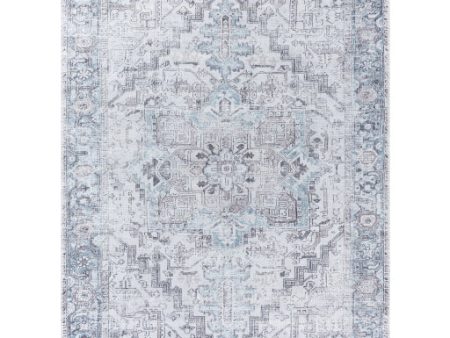 Surya Embrace EMA-2303  Traditional Machine Woven Rug Online