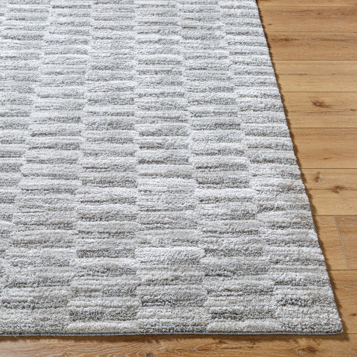 Surya Delight Shag DEL-2301  Global MachineWoven Rug Online now